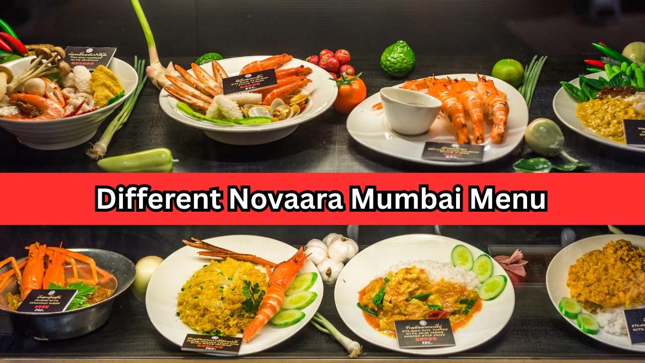 Different Novaara Mumbai Menu