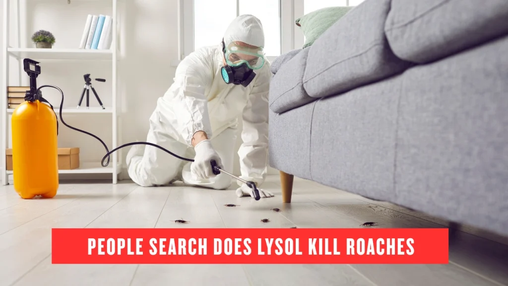 People Search Does Lysol Kill Roaches