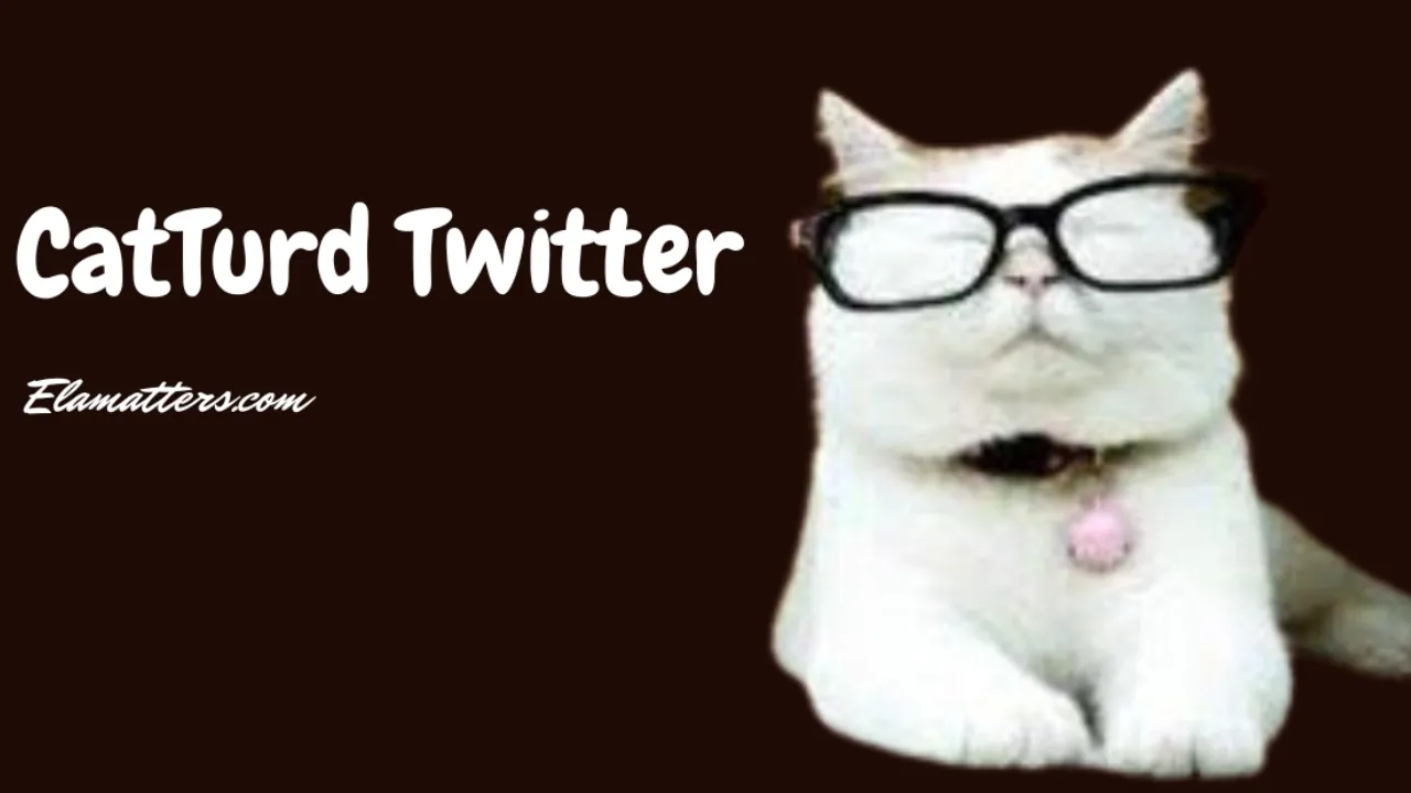 Catturd Twitter