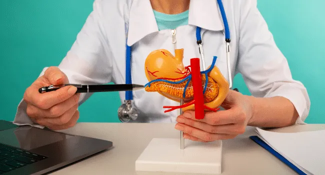 Foundations and Scope of Gastroenterology