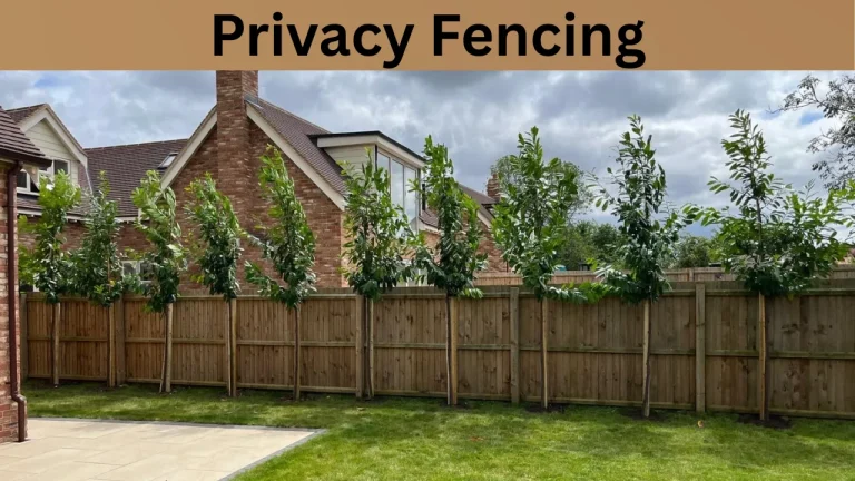 Privacy Fencing