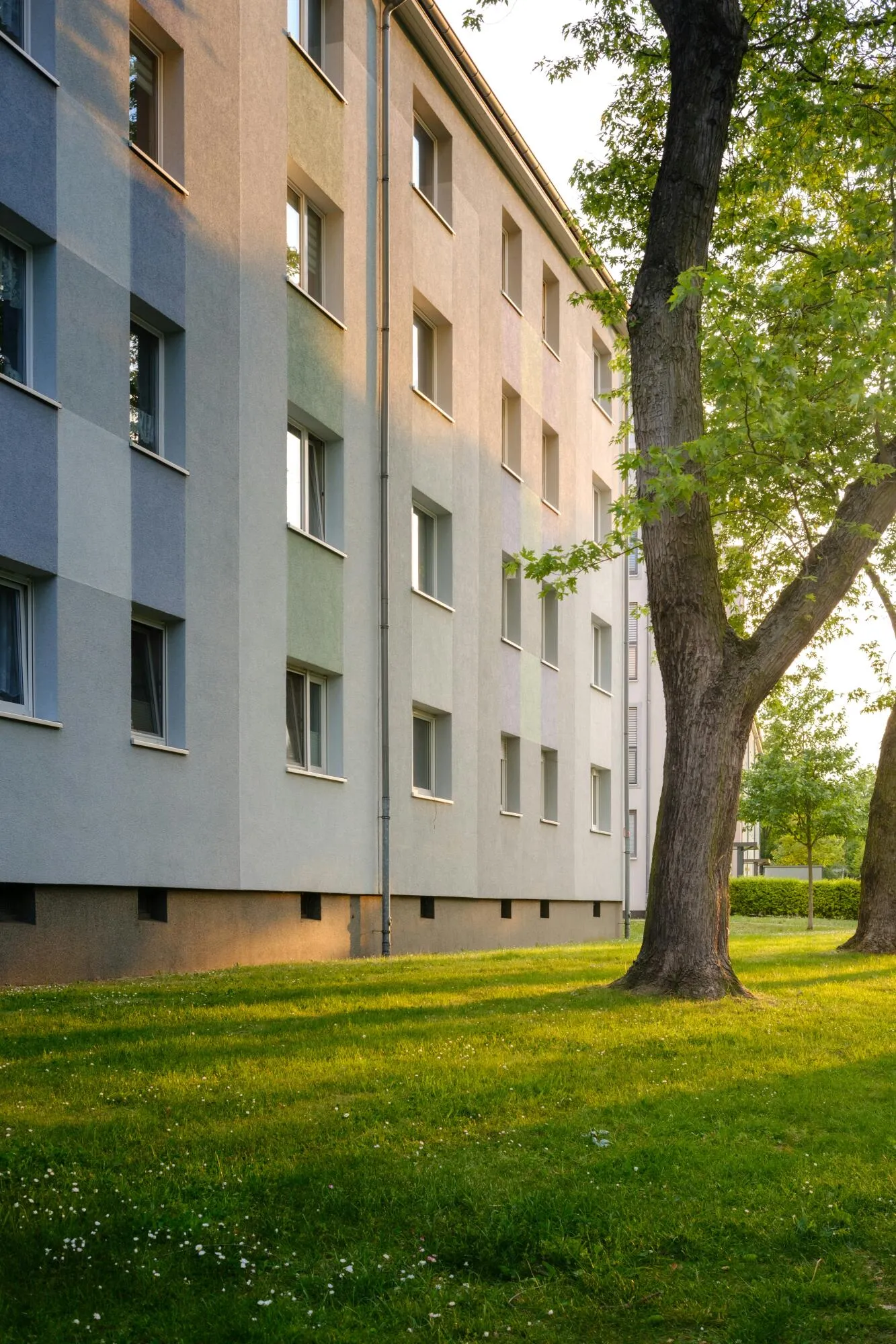 Transform Your College Years with Premium Student Apartments