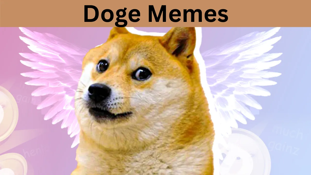 Doge Memes