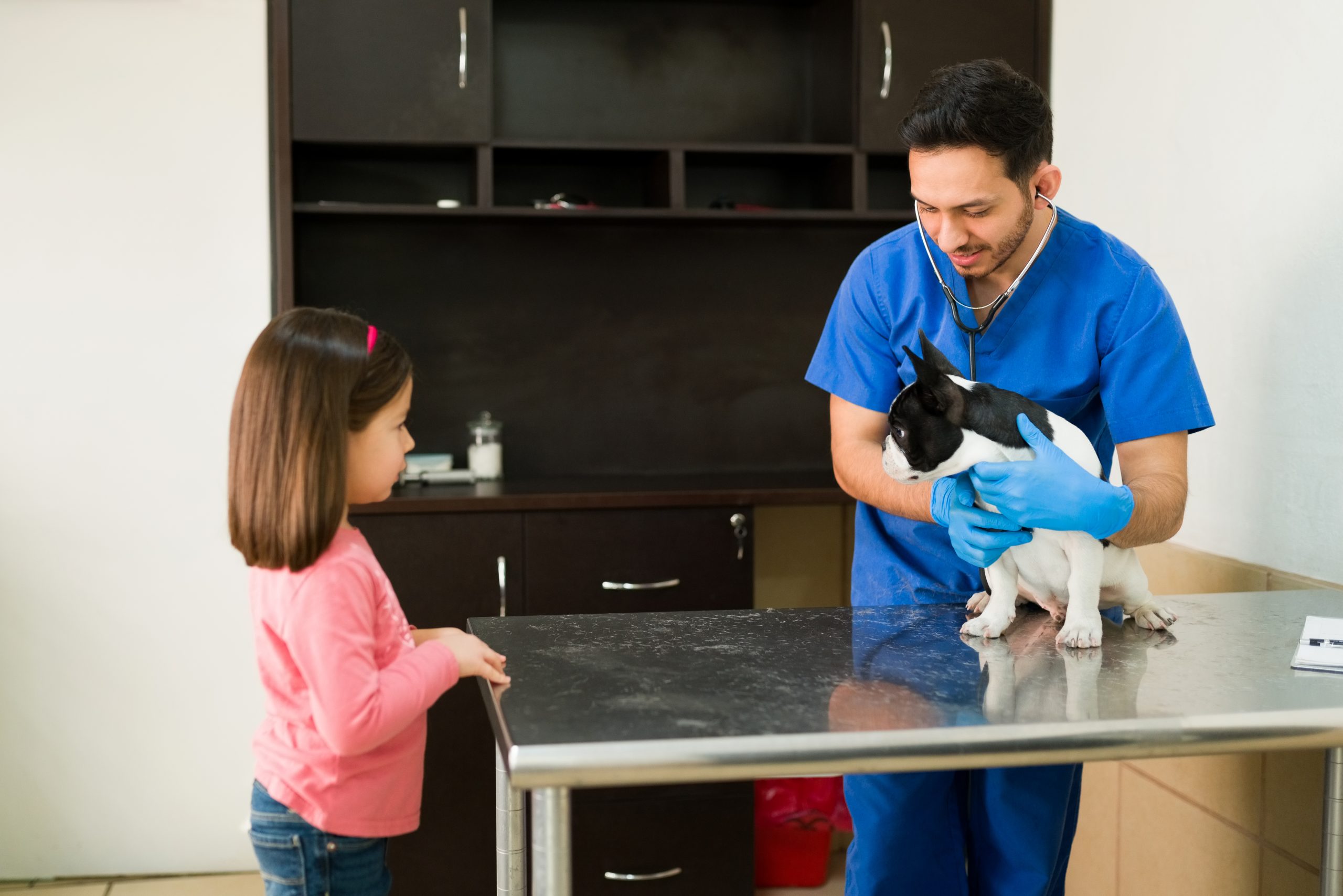 The Impact of Veterinary Stickers on Enhancing Clinic Atmosphere and Client Satisfaction