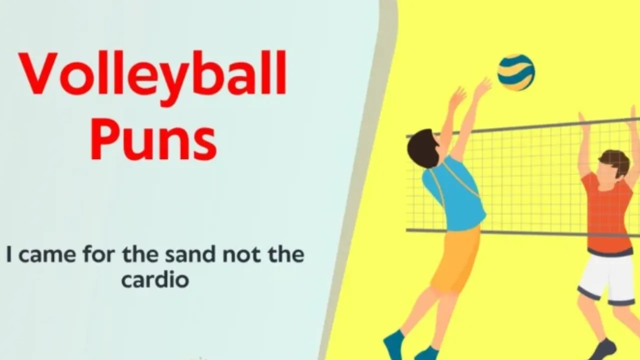 Volleyball Puns